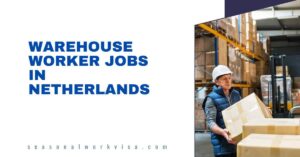 Best Jobs for Students in the Netherlands