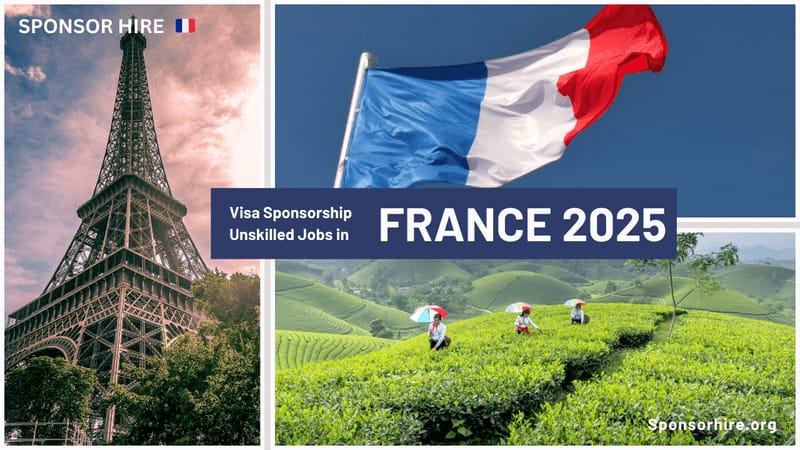 Top 10 Most Stable Jobs in France for Expats